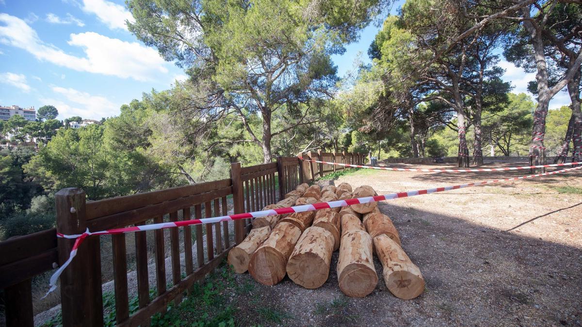 Gefällte Bäume am Rande des geplanten Abenteuerspielplatzes im Parc Bellver.