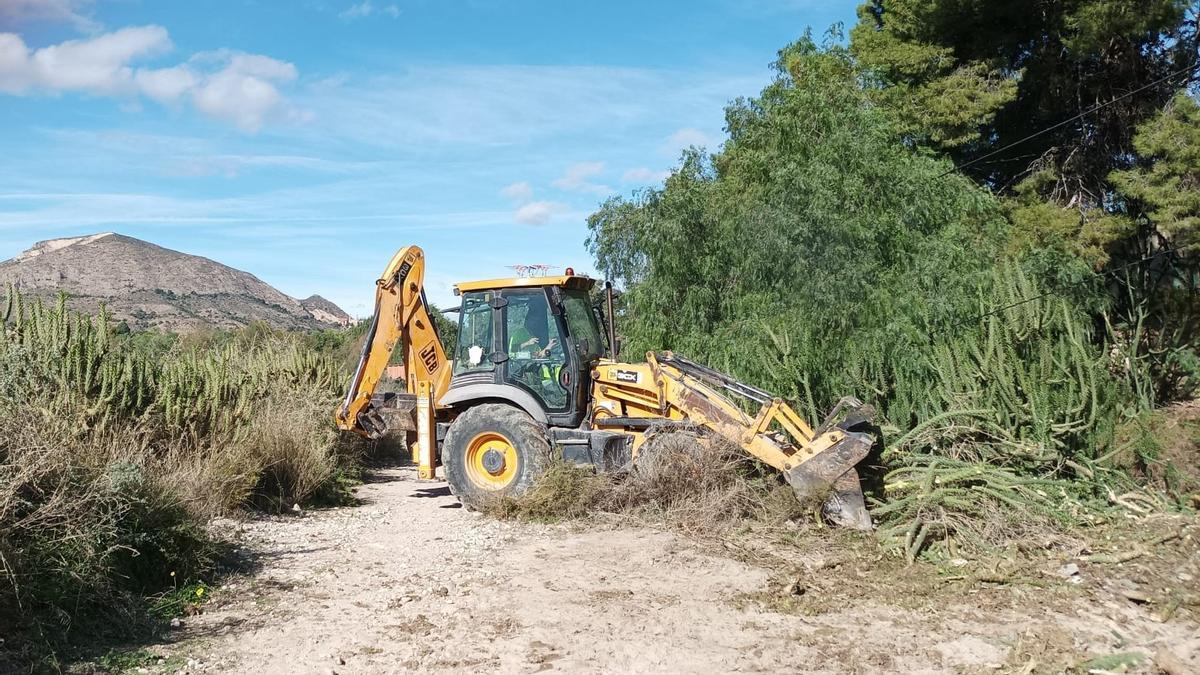 Una pala excavadora arrancando el cactus invasor en el cauce del río Vinalopó a su paso por Novelda.