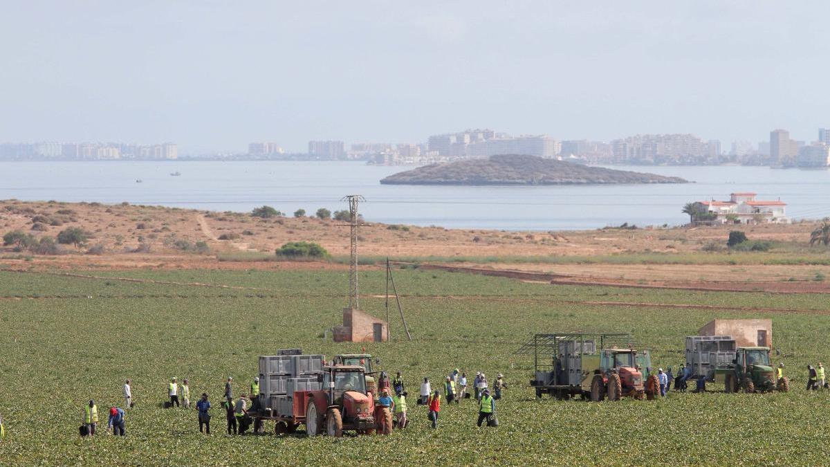 470 hectáreas de regadío ilegal en el Mar Menor denunciadas en 2018 siguen con riego