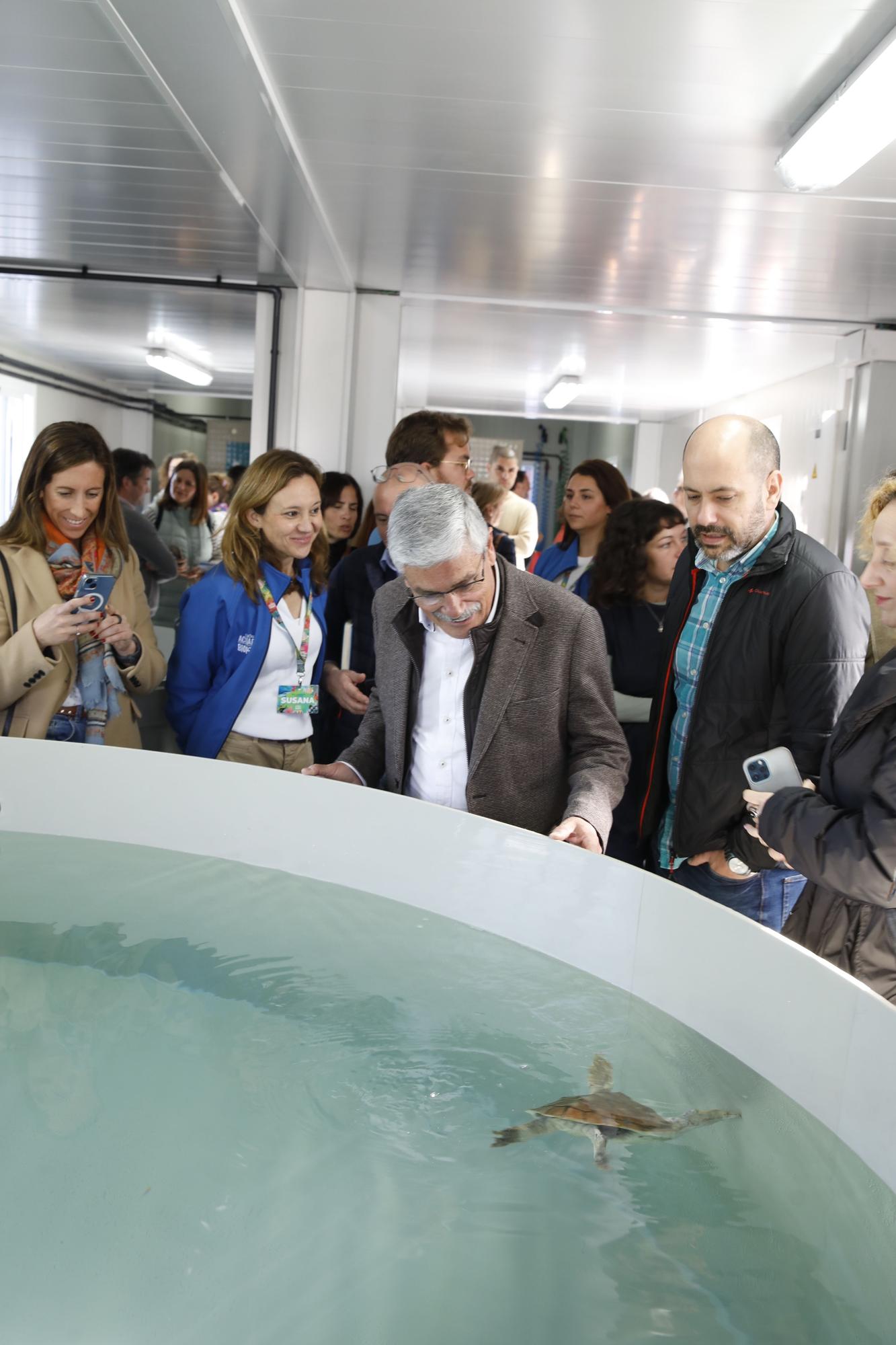 En imágenes: El Acuario de Gijón estrena su nuevo centro de apoyo a la red de varamientos del Principado