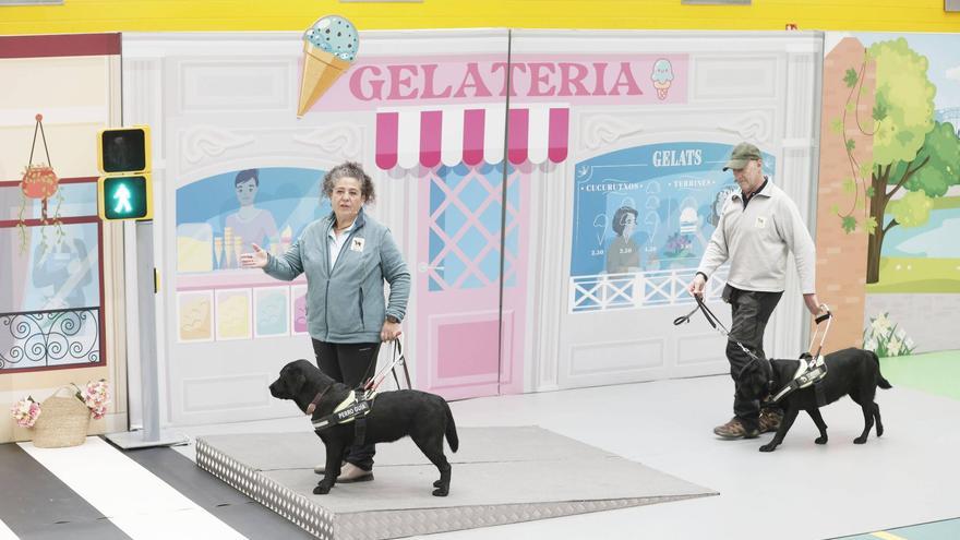 Los perros guía exhiben sus habilidades en Palma: “Son nuestros ojos y significan nuestra independencia”