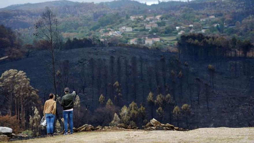 Monte arrasado por el fuego el pasado fin de semana en Ponte Caldelas. // Gustavo Santos