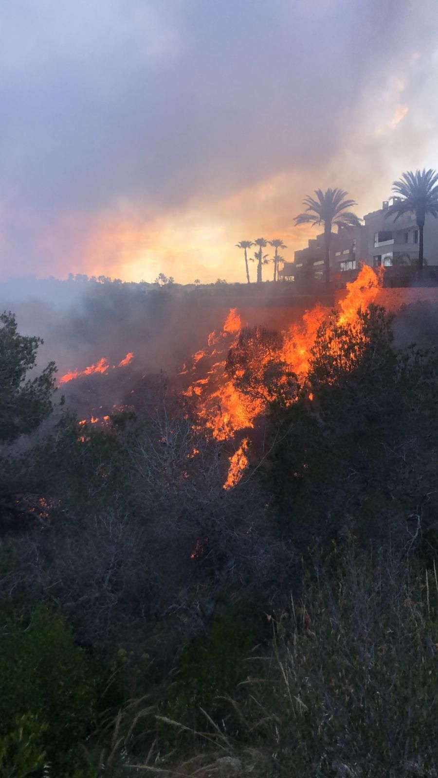 Las llamas del incendio en Orihuela Costa