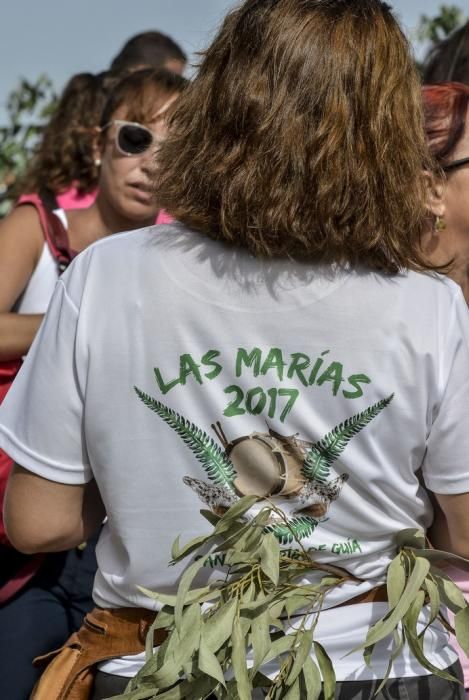 16/09/2017 STA. MARÍA DE GUÍA .Bajada 2017 de La Rama de Las Marías , desde Montaña Alta. FOTO: J.PÉREZ CURBELO