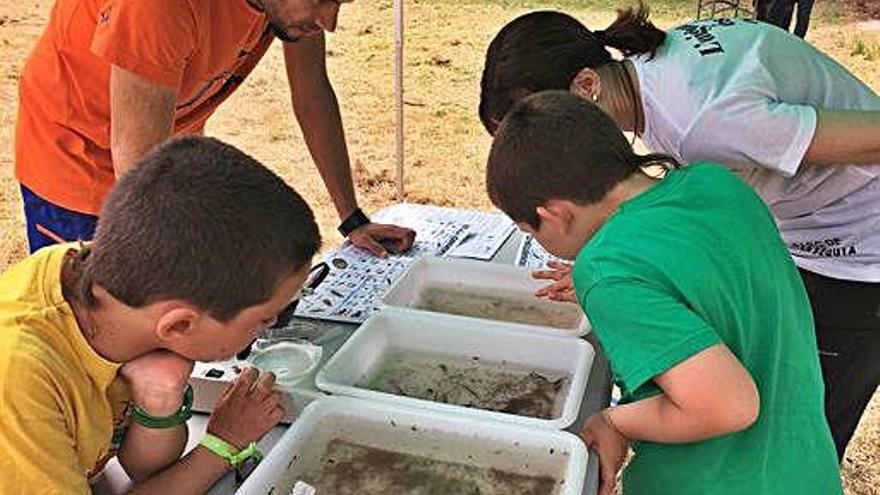 Inspecció d&#039;entorns humits de la Sèquia, un dels tallers que ja s&#039;han fet