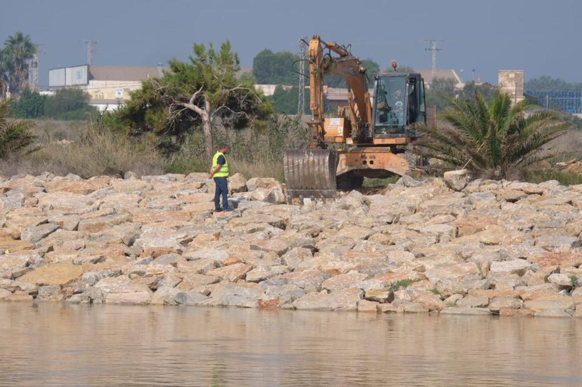 Gota fría en la Vega Baja: Los agricultores cifran en 550 millones las pérdidas en el campo de la provincia de Alicante