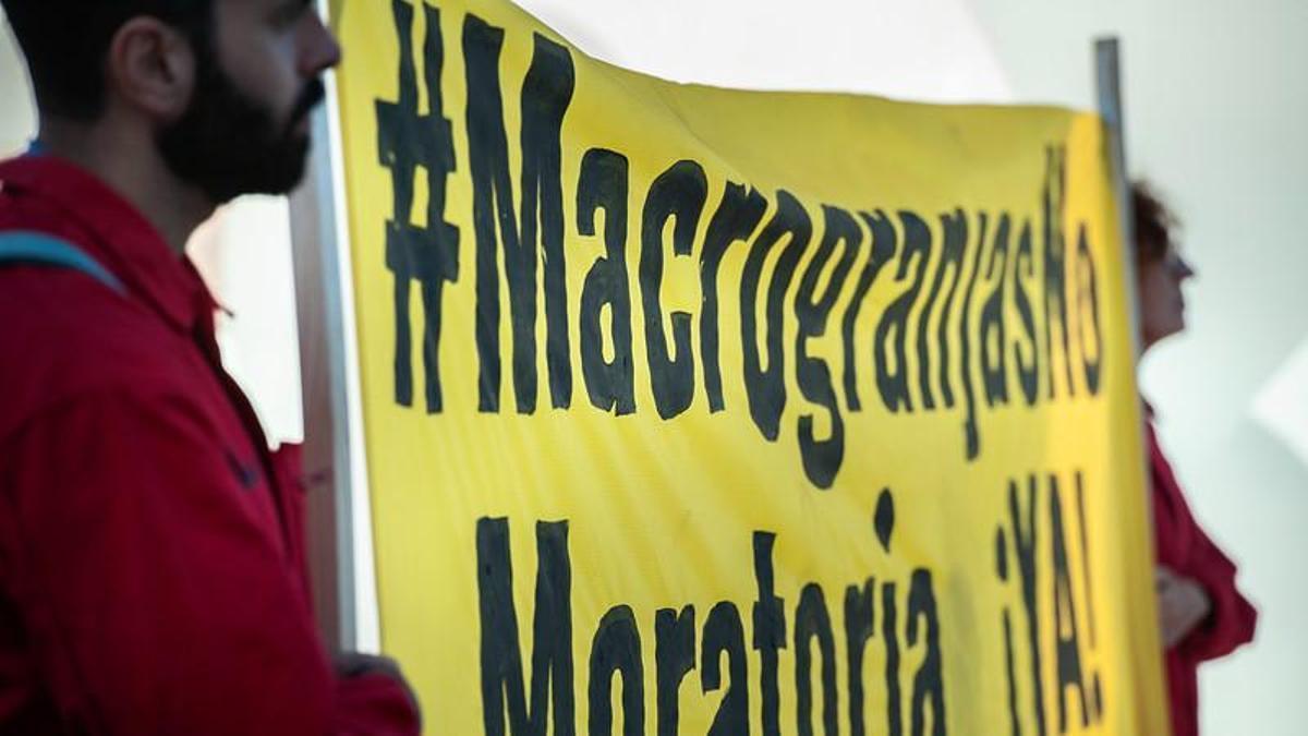 Una acción de Greenpeace contra las macrogranjas.