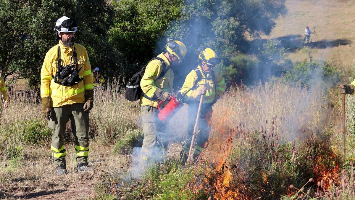 Varios bomberos forestales en la quema controlada de pastos realizada este miércoles junto a la urbanización de Santo Domingo, en la Sierra de Córdoba.