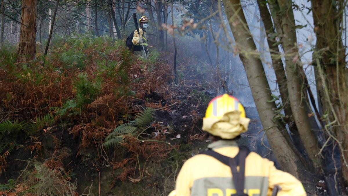 Bomberos durante un incendio forestal en Asturias.