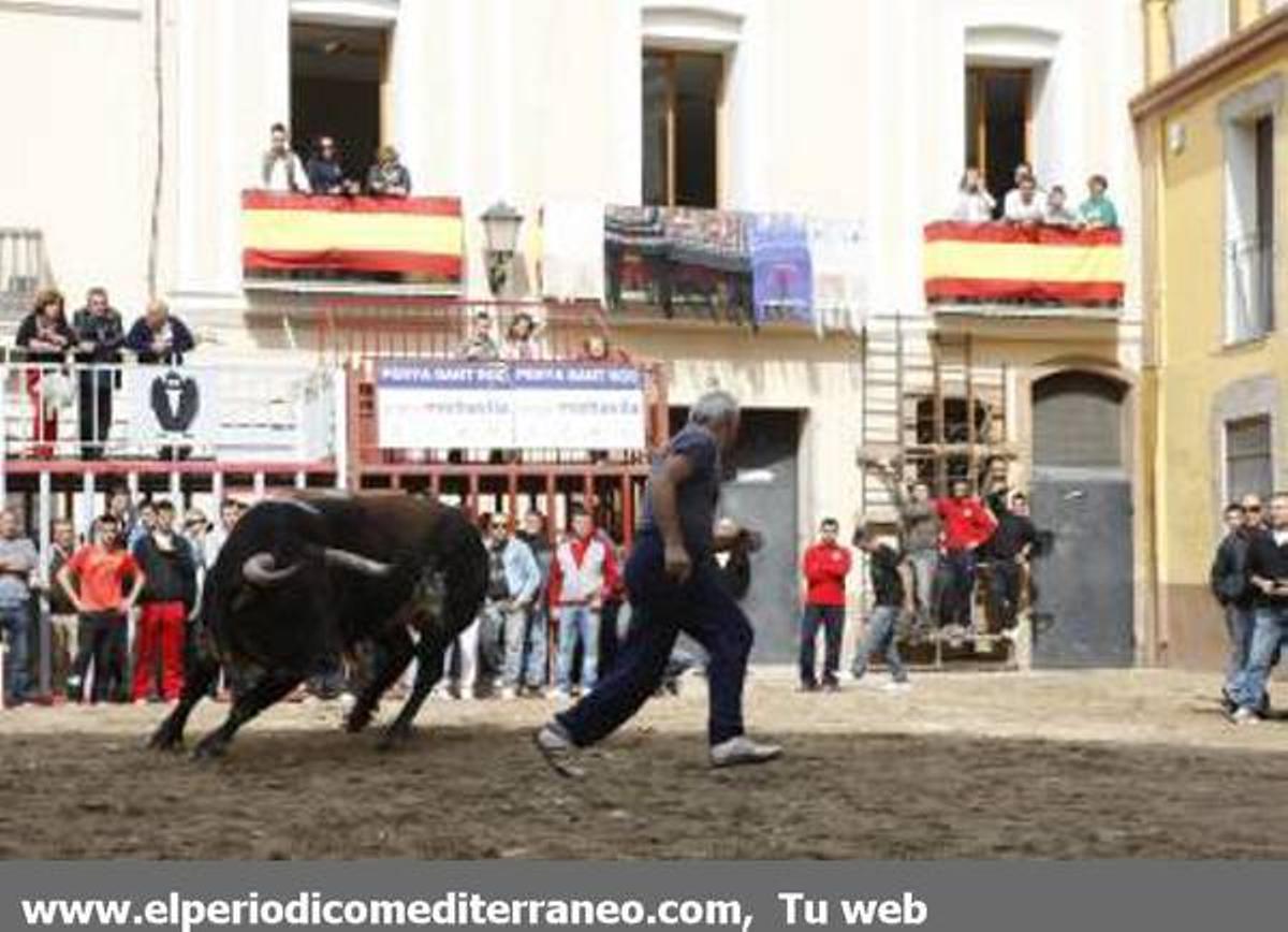 GALERÍA DE FOTOS - Almassora continua con su semana taurina