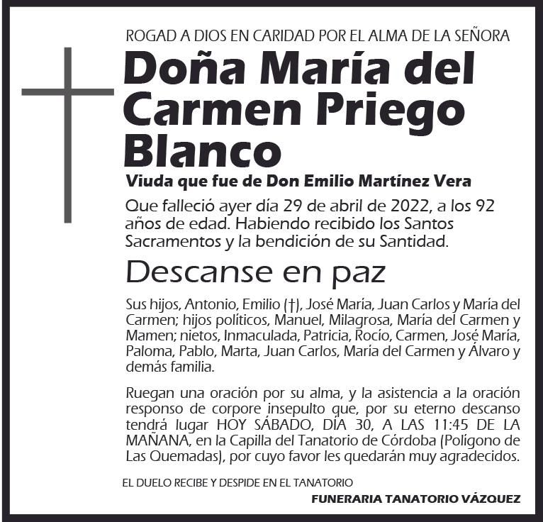 María del Carmen Priego Blanco