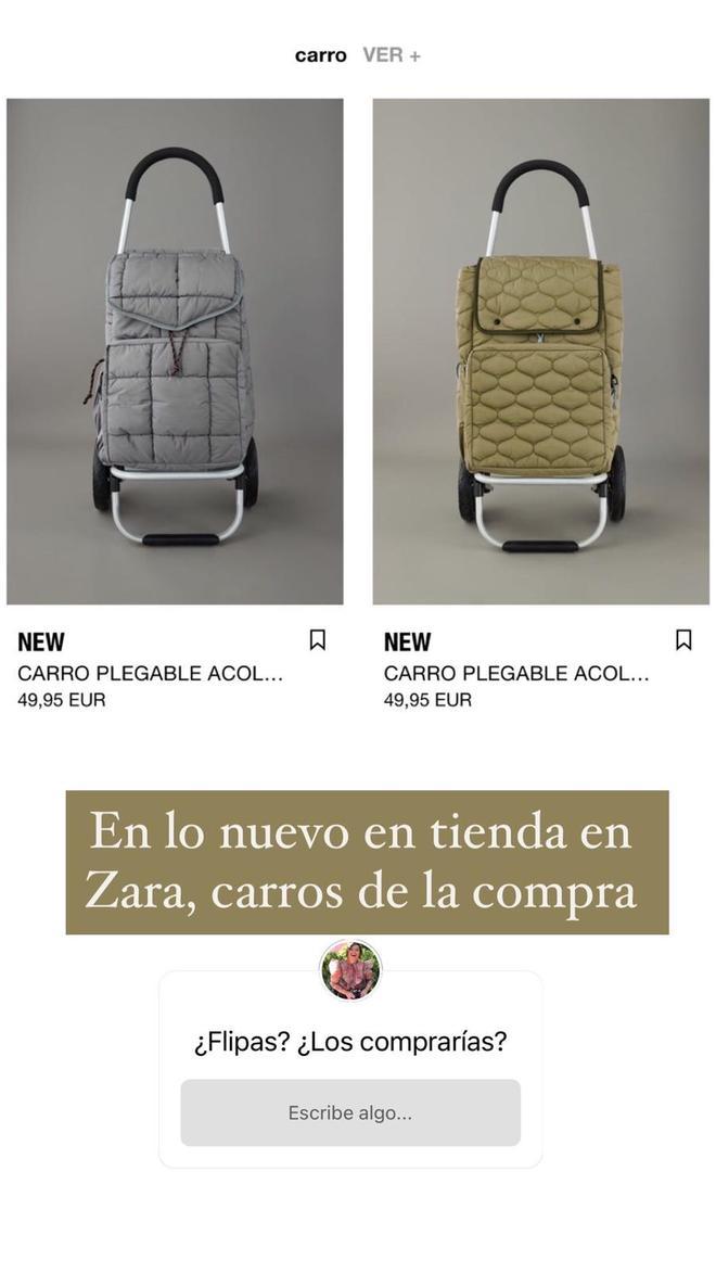 Carro de la compra de Zara: ¿lo comprarías?