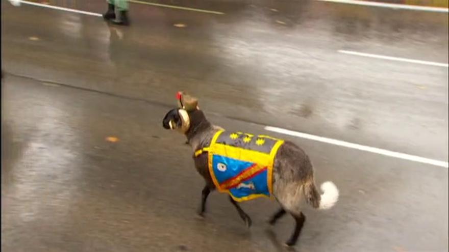 Por qué la cabra es la mascota de la Legión Española