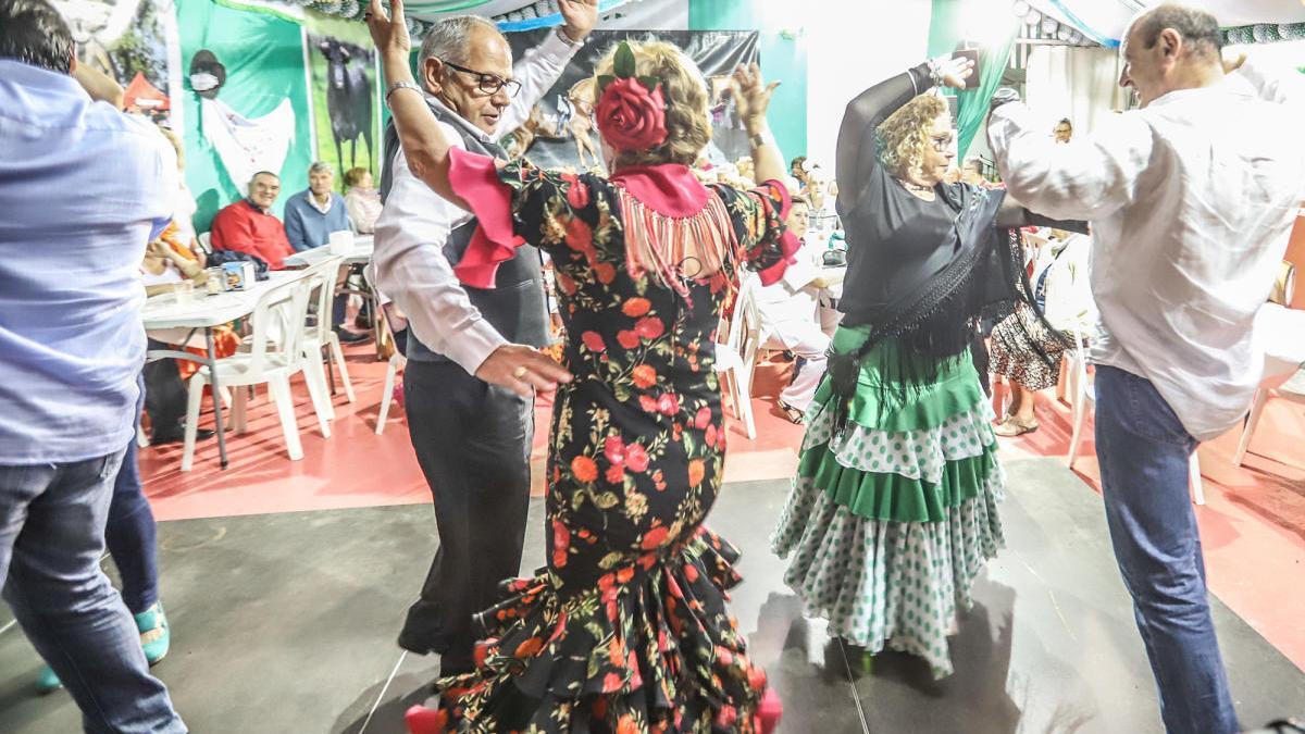 Edición 2019 de la Feria de Mayo de Torrevieja