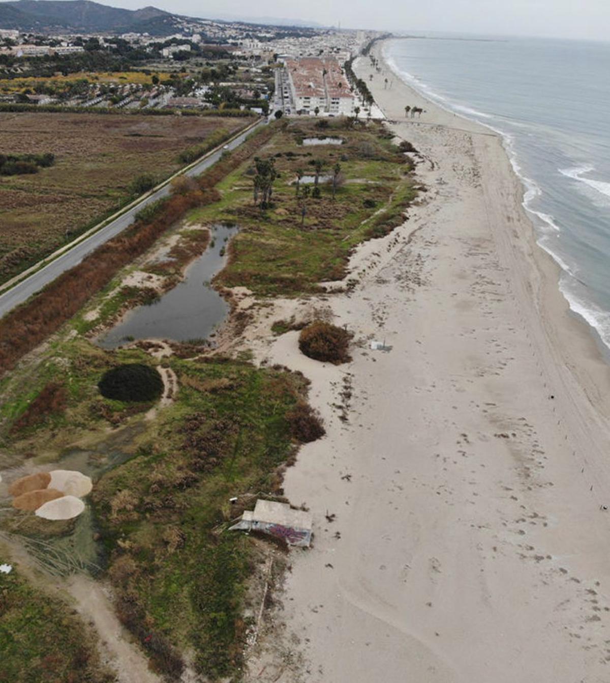 Catalunya vol protegir el litoral i renaturalitzar platges