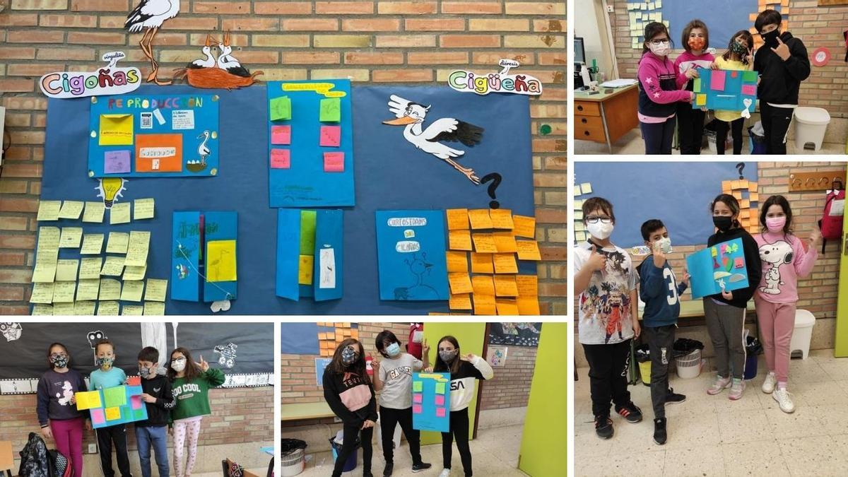 Los trabajos sobre la familia de cigüeñas de Tudela de los alumnos de 4º de Primaria del colegio Frián de Teis.