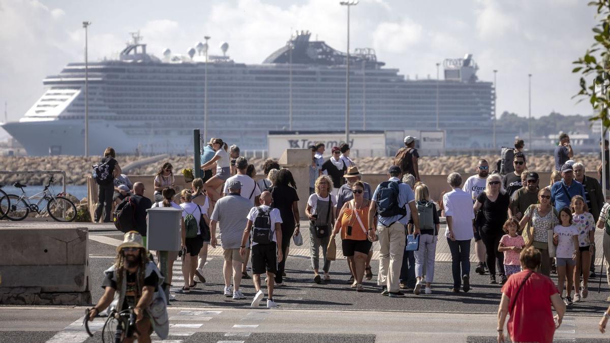 Der Blick vom Parc de la Mar auf die Kreuzfahrtmole: Dieses Bild bietet sich auch in diesem Jahr auf Mallorca wieder häufig. 499 Kreuzfahrtschiffe machen bis Dezember fest.
