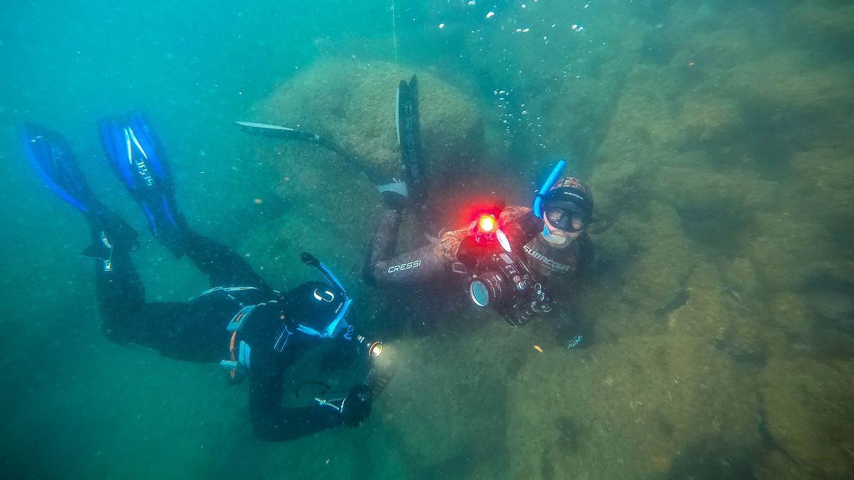 Un momento del snorkel científico.