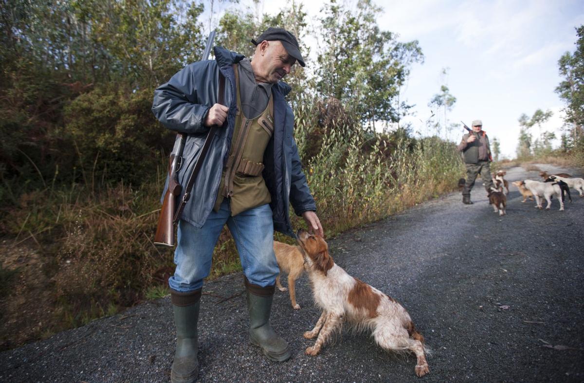 La actividad cinegética cuenta en A Estrada con más de 500 licencias. | BERNABÉ