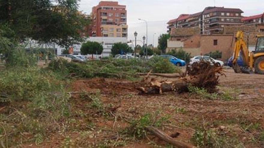 Talan los árboles de una parcela municipal para instalar un circo