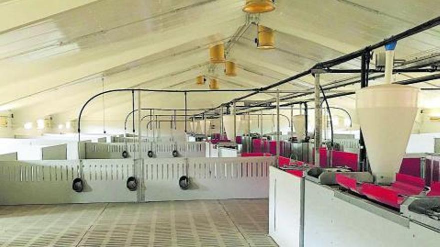 Instalaciones preparadas para la ganadería intensiva | Activos