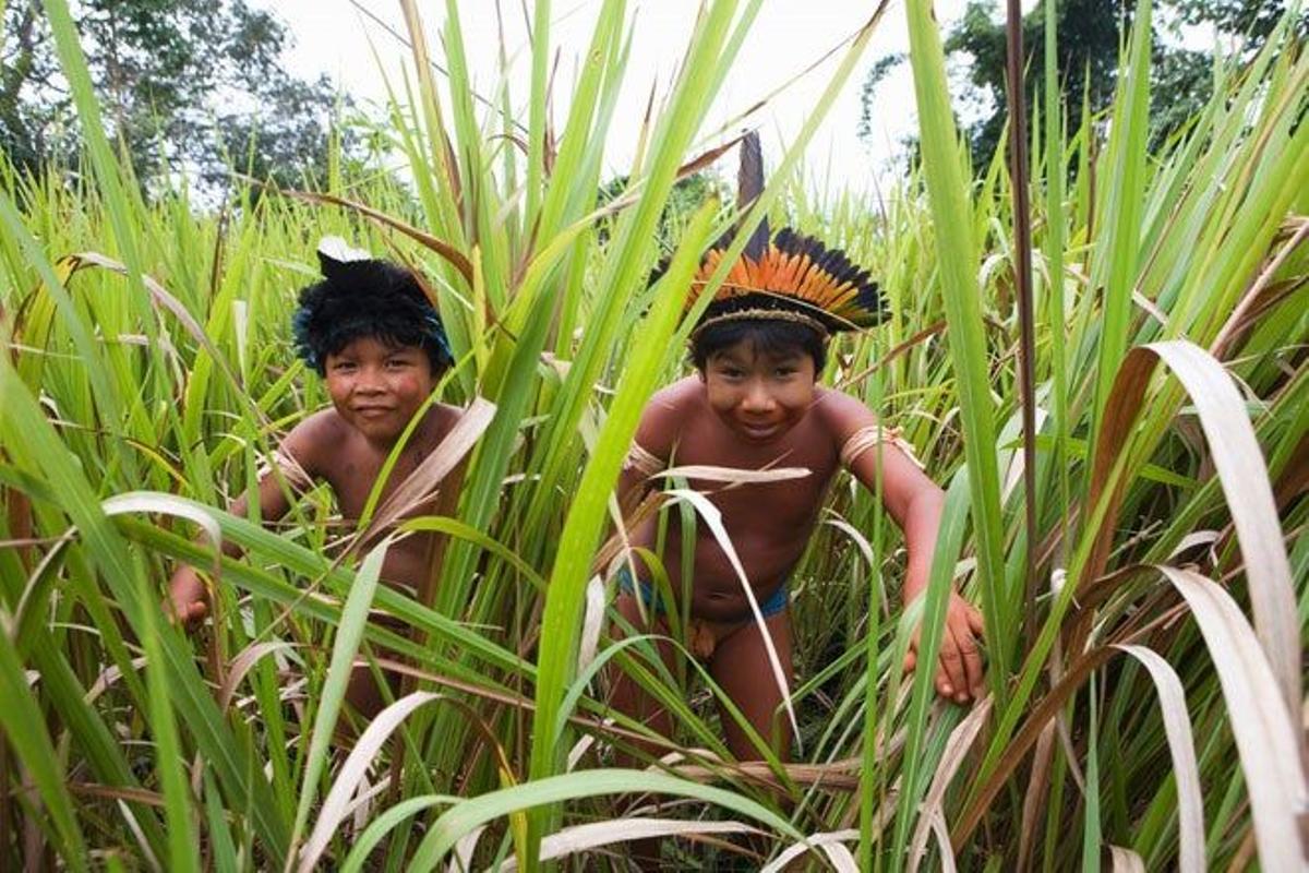 Niños indígenas en la Amazonía brasileña.