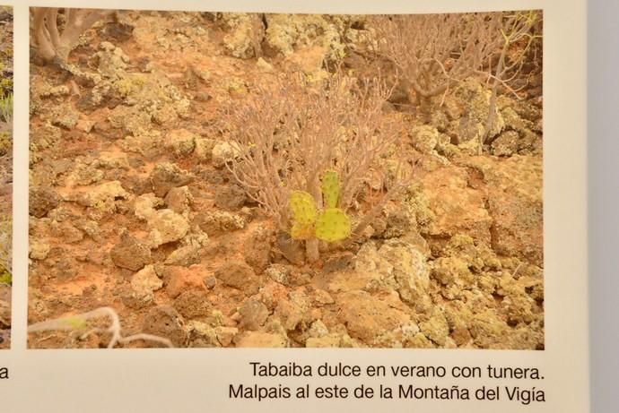 LA ISLETA PAISAJE PROTEGIDO EXPOSICIÓN