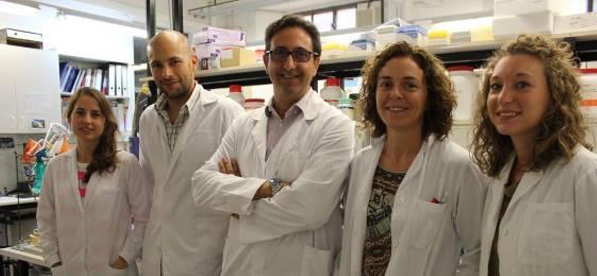 Renuevan el tejido dañado del cerebro con células madre y un antioxidante