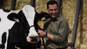  El presidente de la Junta de Andalucía, Juanma Moreno, se ha reencontrado hoy miércoles con Fadi, la vaca talismán que según él me ayudó a ganar las elecciones, durante la visita realizada a la finca agroganadera en la localidad cordobesa de Añora. 