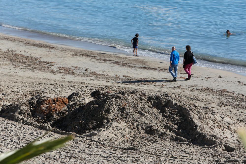 Alicantinos y turistas disfrutan a 20 grados de un