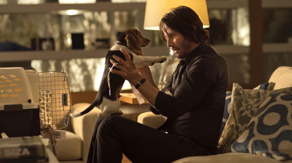 Keanu Reeves, con el cachorro Beagle, en una escena de la película John Wick (Otro día para matar)