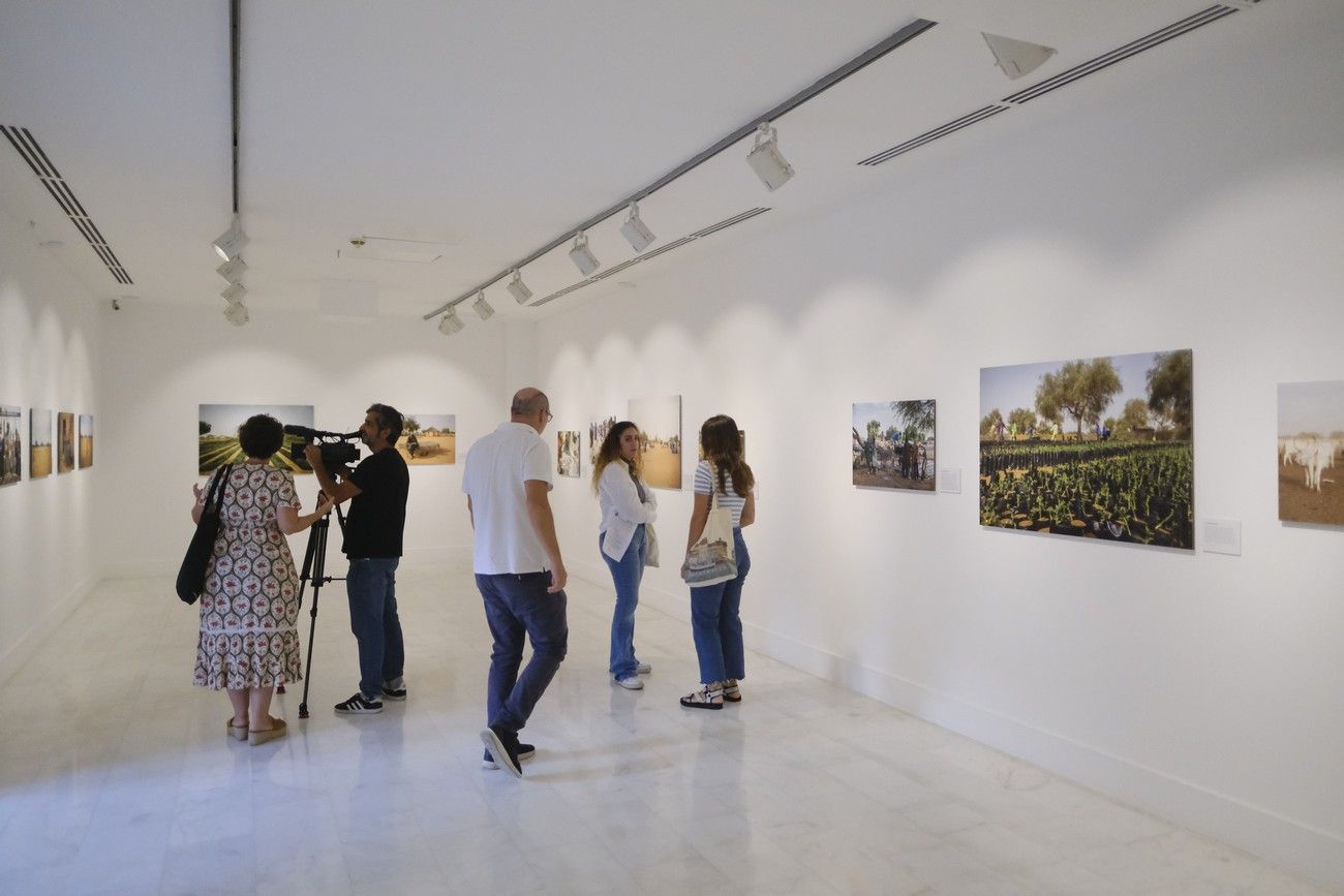 Exposición 'A la sombra de las acacias', en Casa África
