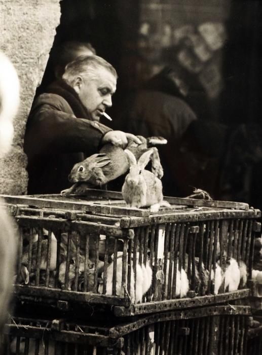 El mercat de Banyoles al detall