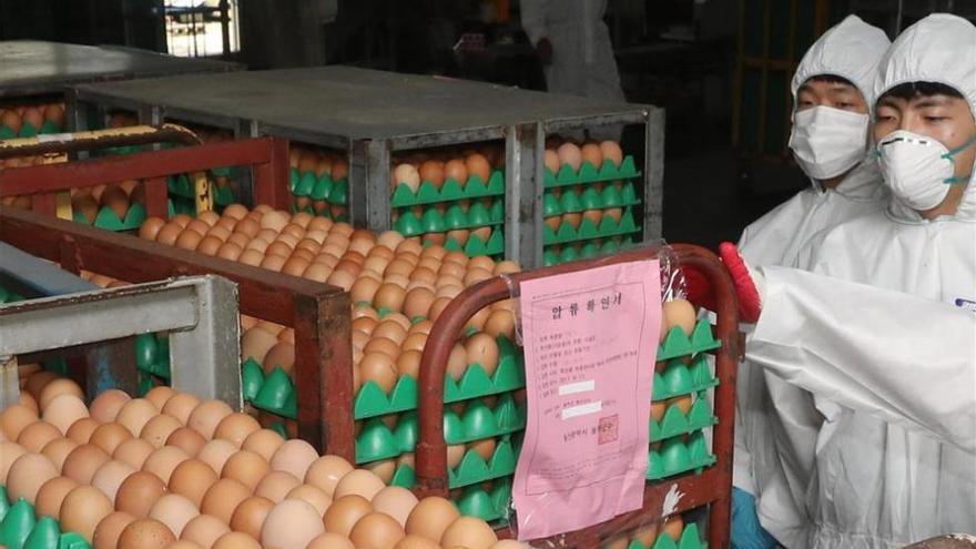 Francia retira gofres elaborados con huevos contaminados