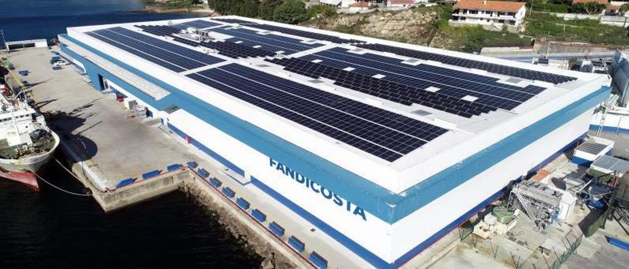 Las instalaciones de Fandicosta, en el puerto de Domaio, que es la empresa entre Moaña, Cangas y Bueu con mayor volumen de negocio. | // GONZALO NÚÑEZ