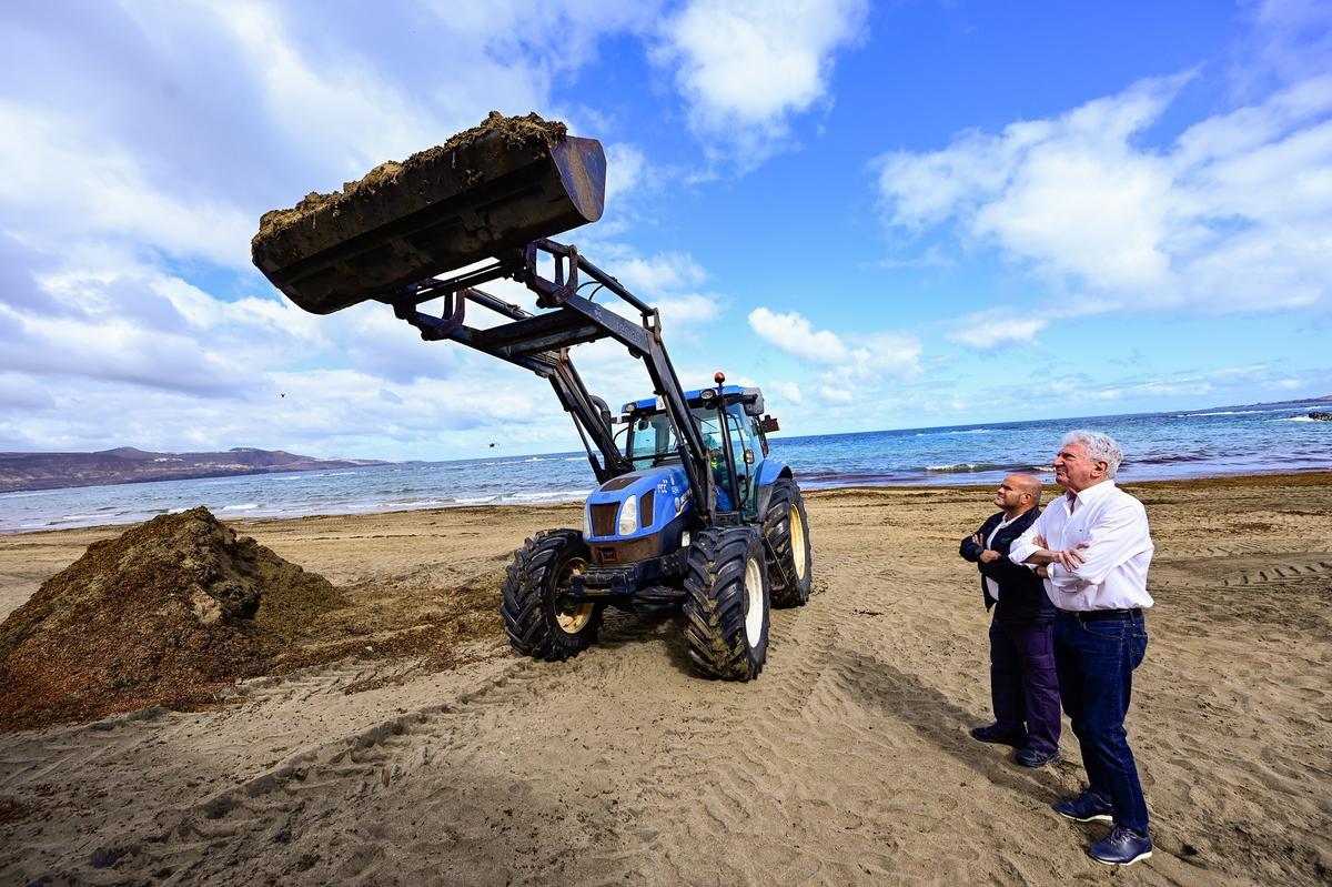 Pedro Quevedo supervisa la retirada de algas en Las Canteras.