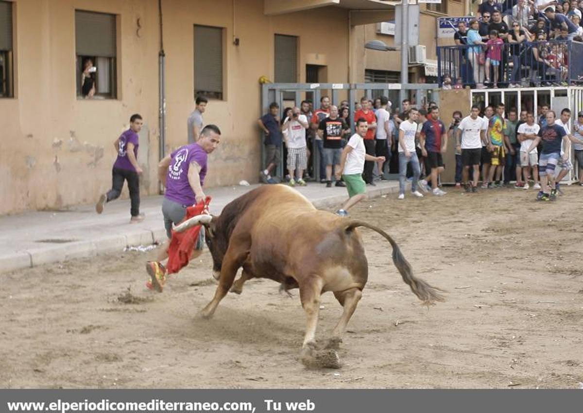 GALERÍA DE FOTOS -- El 'bou per la vila' suma un nuevo corneado