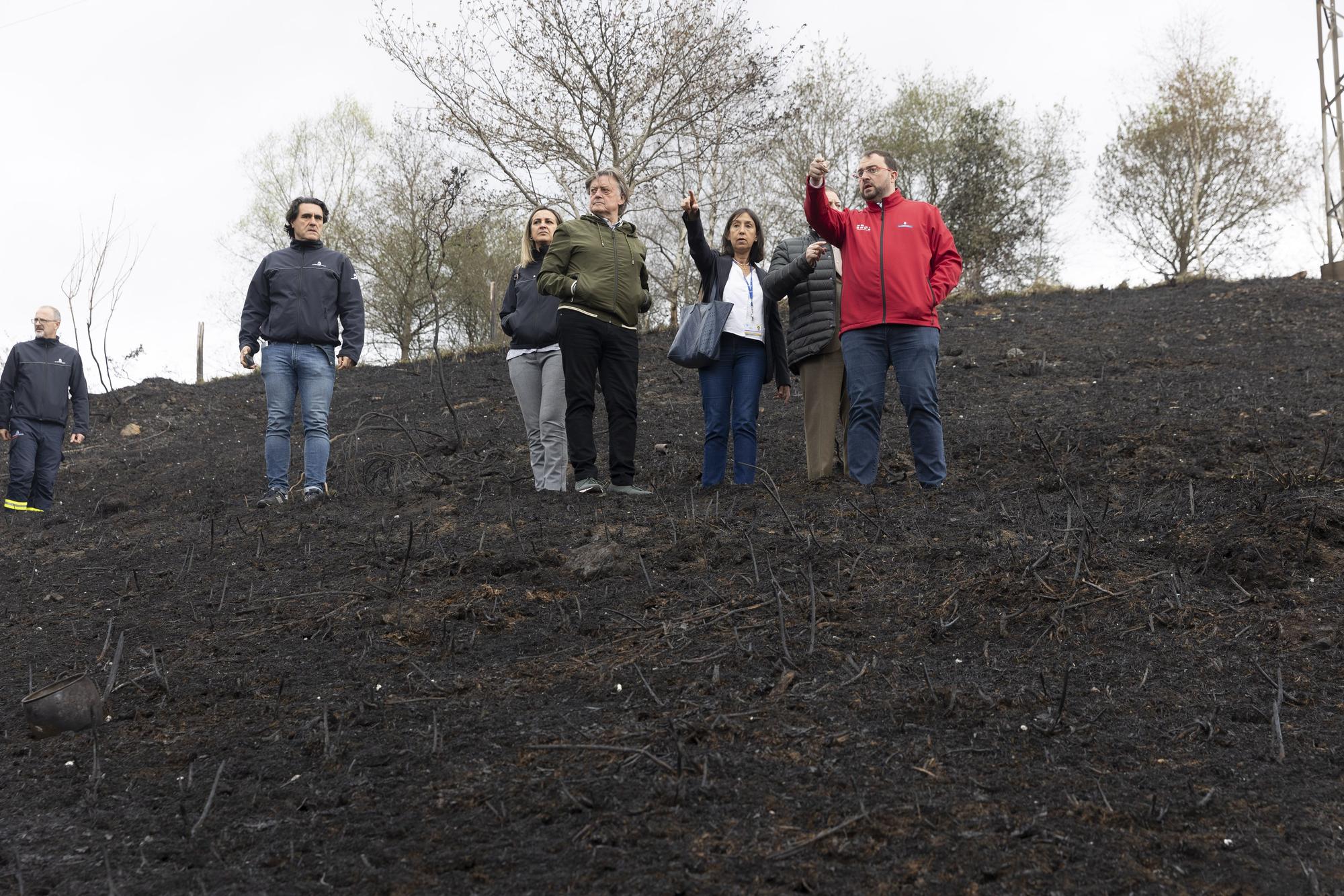 El aspecto del Naranco tras unos incendios históricos