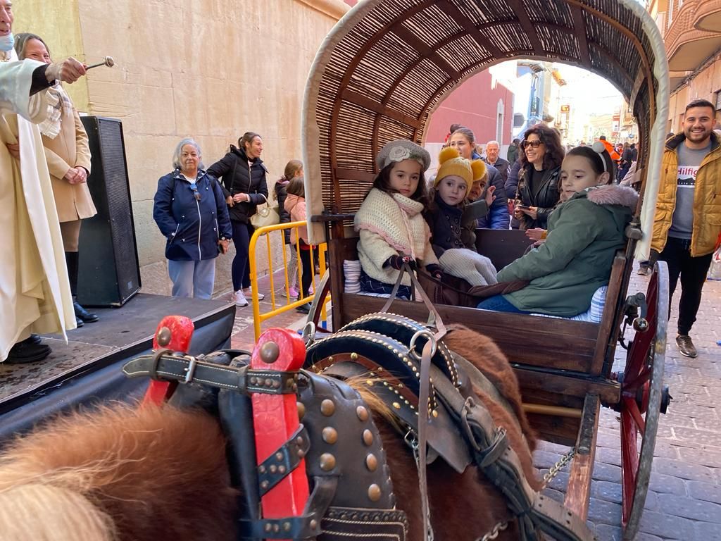 El Campello recupera plenamente la fiesta de Sant Antoni del Porquet con una alta participación popular