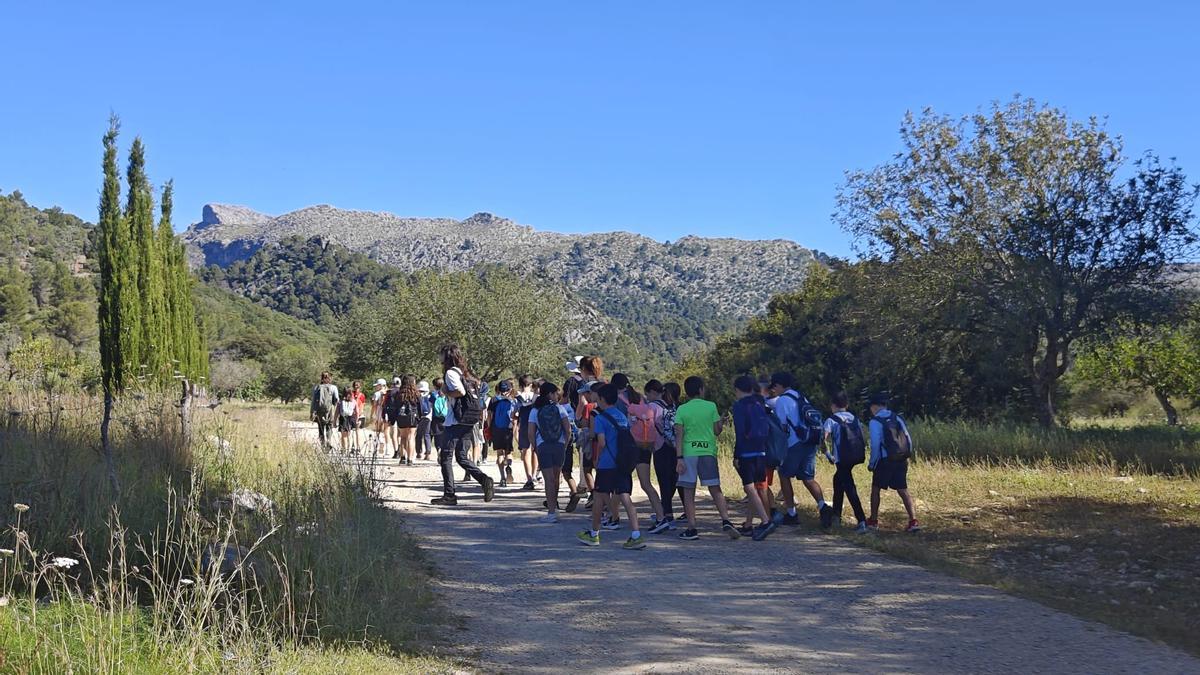 Un momento de la jornada en la finca de Gabellí Petit.