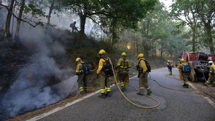 Efectivos de Medio Rural en la extinción de un incendio forestal en Pontevedra.