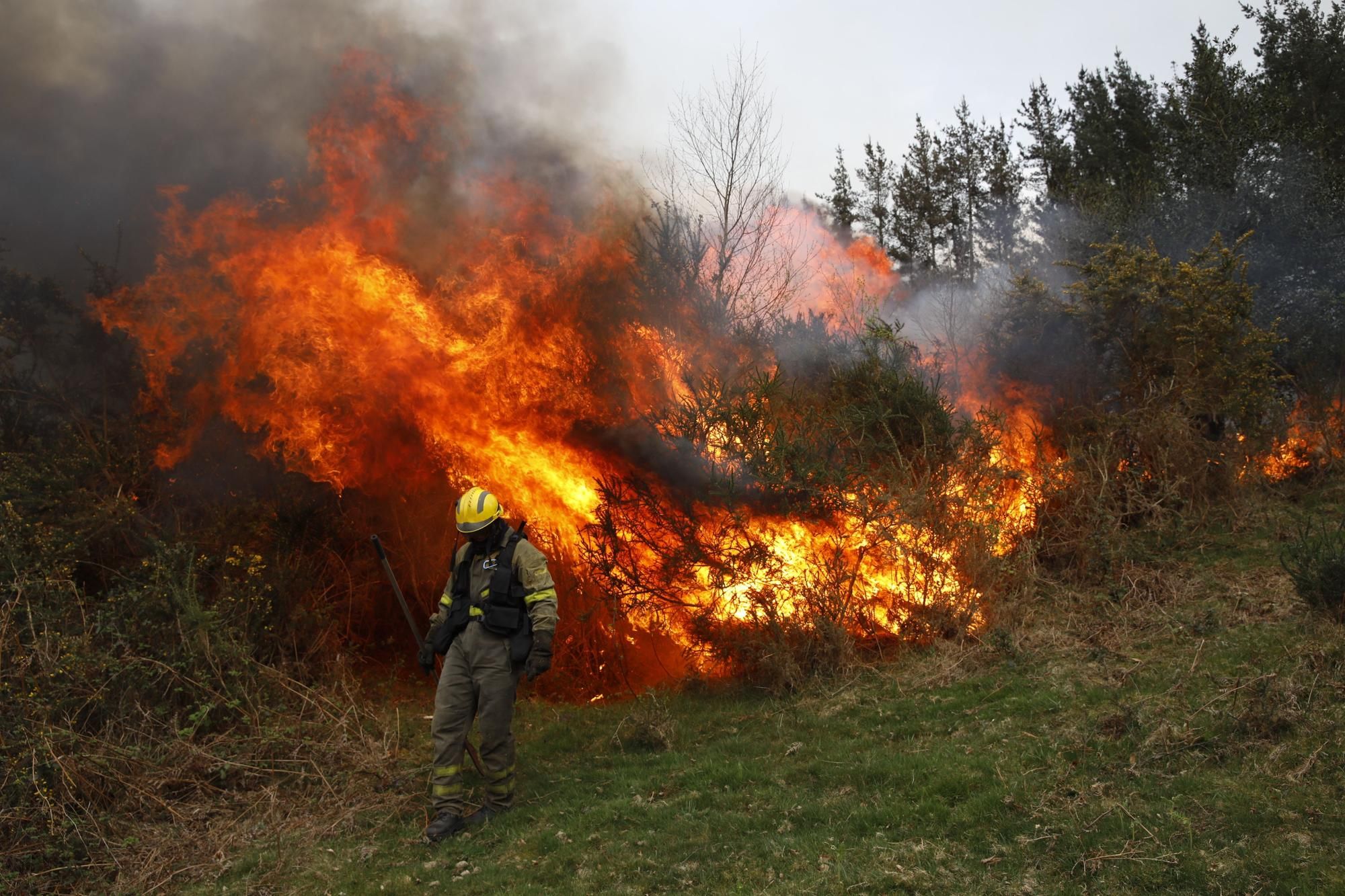 incendios-asturias-10.jpg