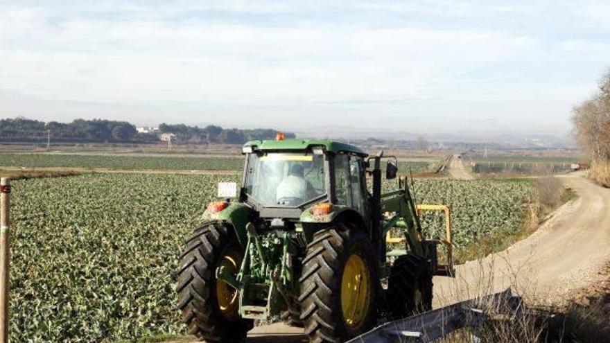 Los agricultores y ganaderos aragoneses cobrarán la PAC el 10 de noviembre