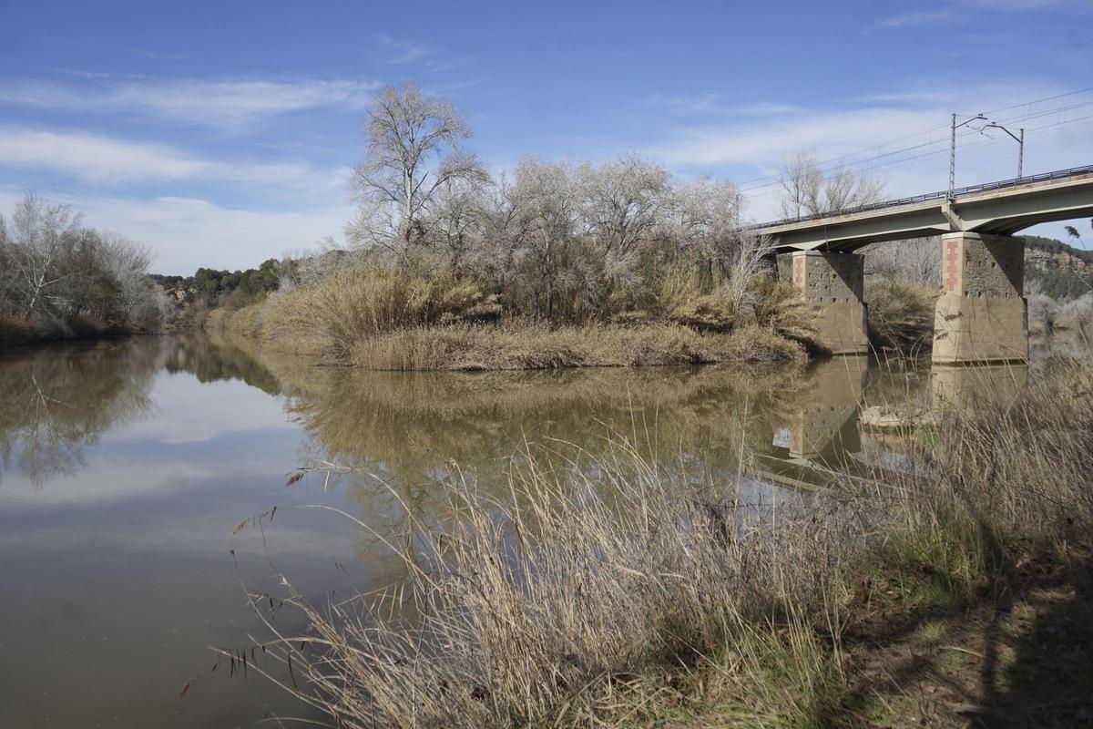 Confluència del Cardener (esquerra) i el Llobregat (dreta), sota el pont de la Renfe