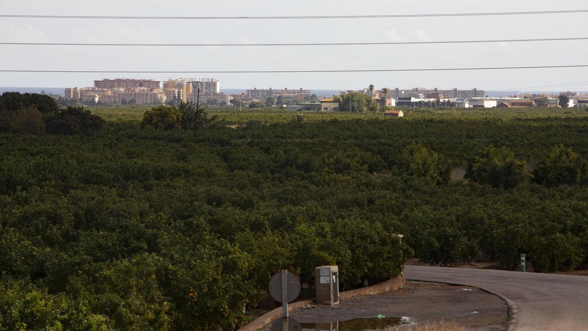 Vista de la partida de Montíber donde están previstas las plantas fotovoltaicas.