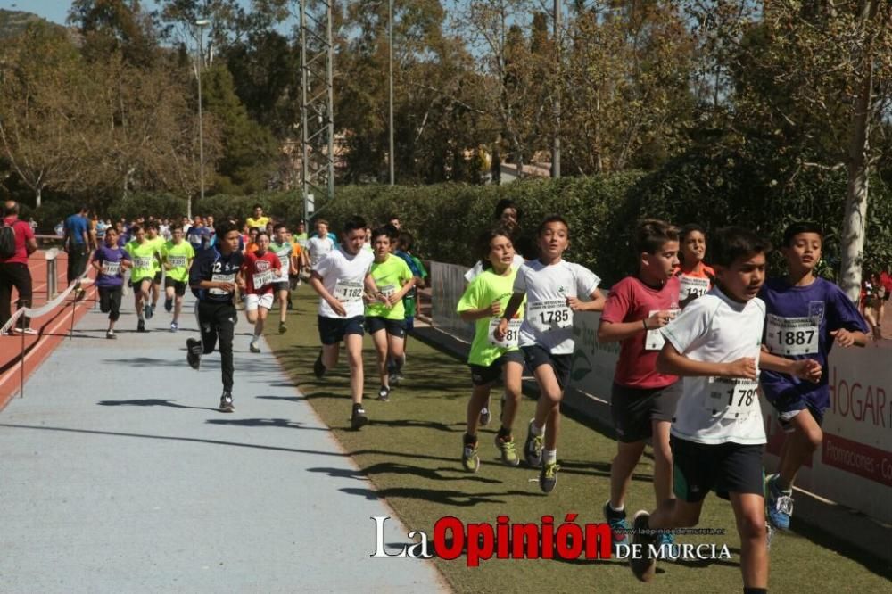 Final Cross Escolar de Lorca . Alevín masculino