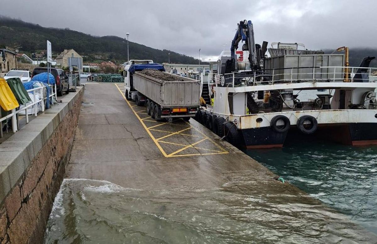 Mejilloneros descargando ayer en el muelle de Aldán. |  S.Á.
