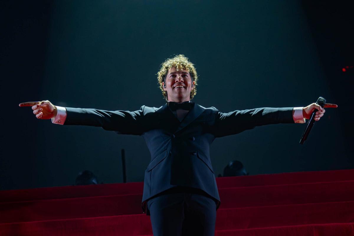 Concierto de Navidad de David Bisbal en el Palau Sant Jordi