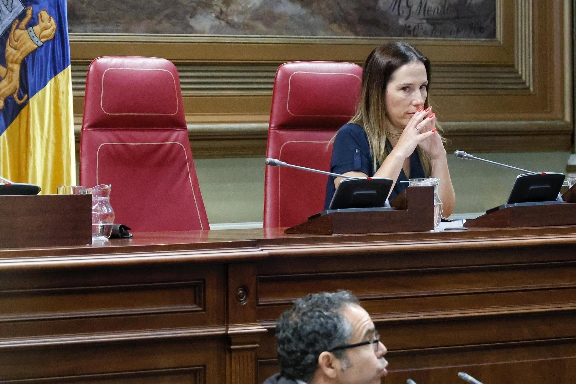 Pleno del Parlamento de Canarias, este miércoles