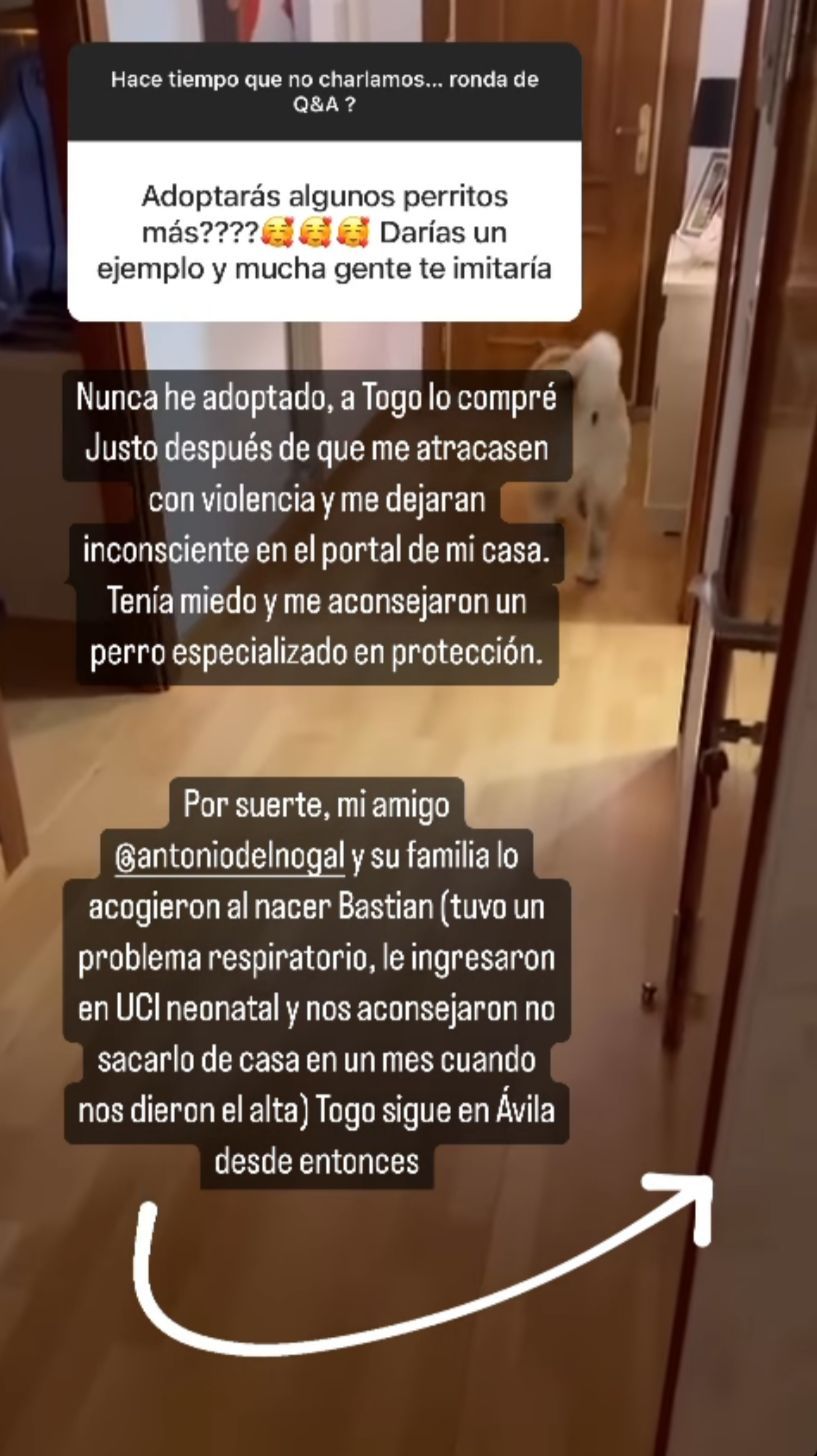 Carla Barber cuenta la verdad sobre lo que ha ocurrido con su perro Togo